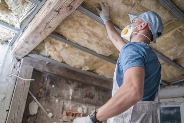 Best Types of Insulation in Westmorland, CA